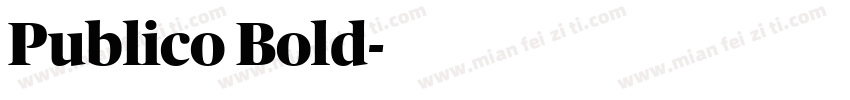 Publico Bold字体转换
